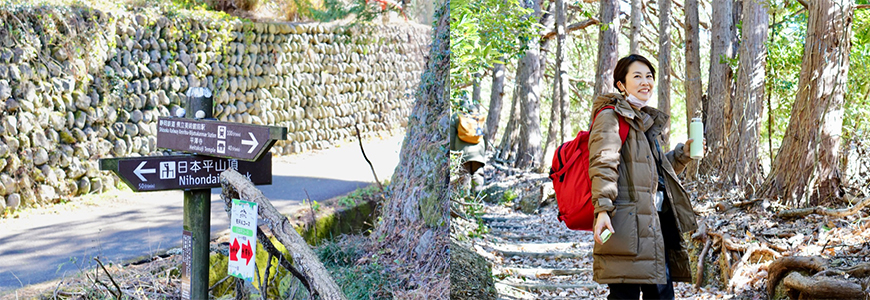 靜岡親子一日遊＿尋找富士山，日本平登山，搭小丸子彩繪列車，大吃靜岡美食