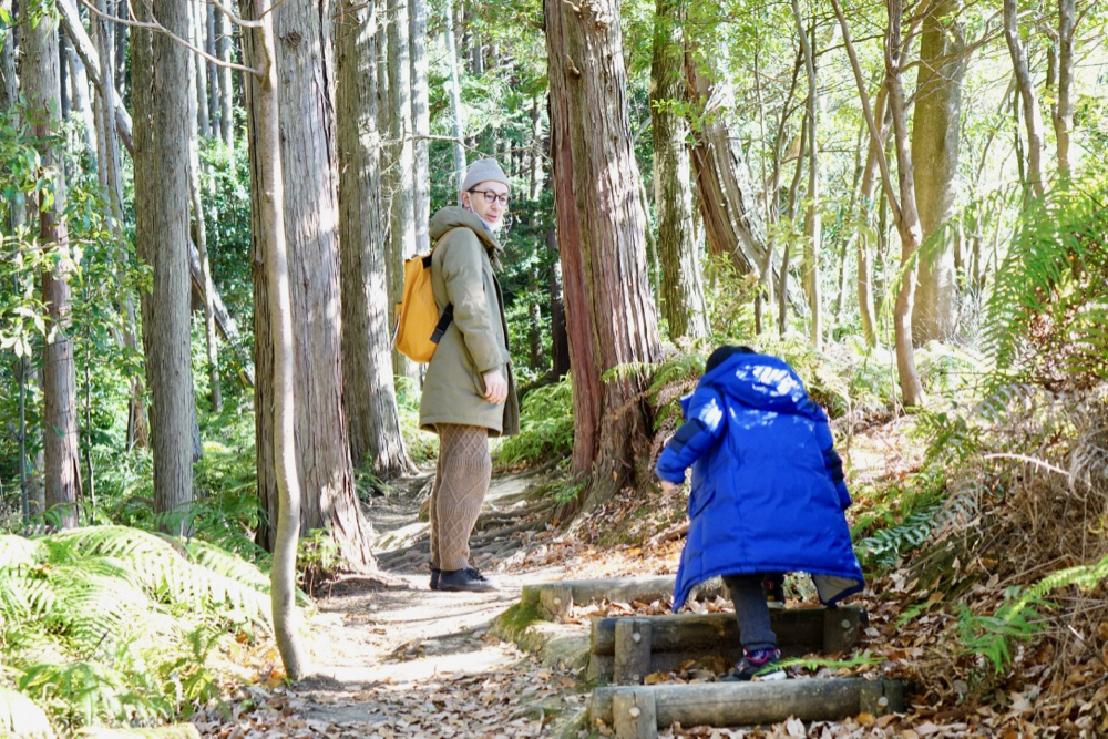 靜岡親子一日遊＿尋找富士山，日本平登山，搭小丸子彩繪列車，大吃靜岡美食