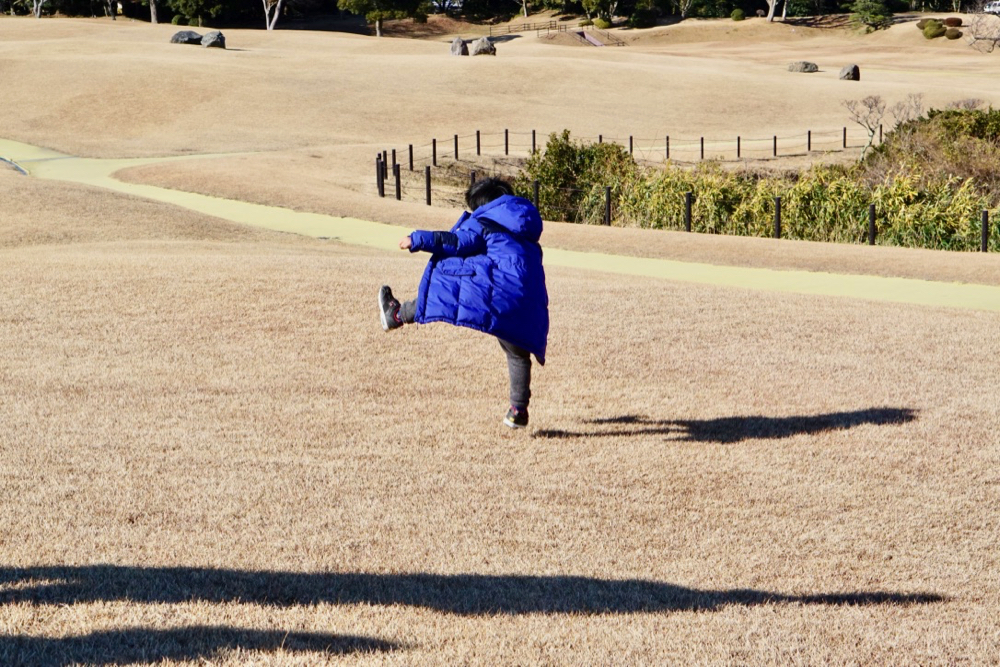 靜岡親子一日遊＿尋找富士山，日本平登山，搭小丸子彩繪列車，大吃靜岡美食