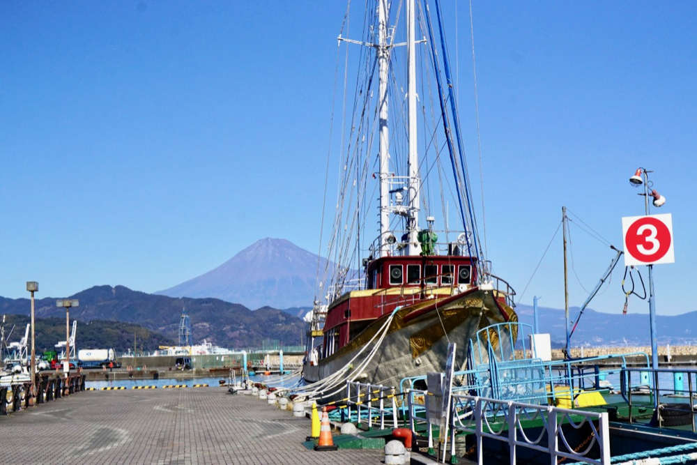 靜岡親子一日遊＿尋找富士山，日本平登山，搭小丸子彩繪列車，大吃靜岡美食