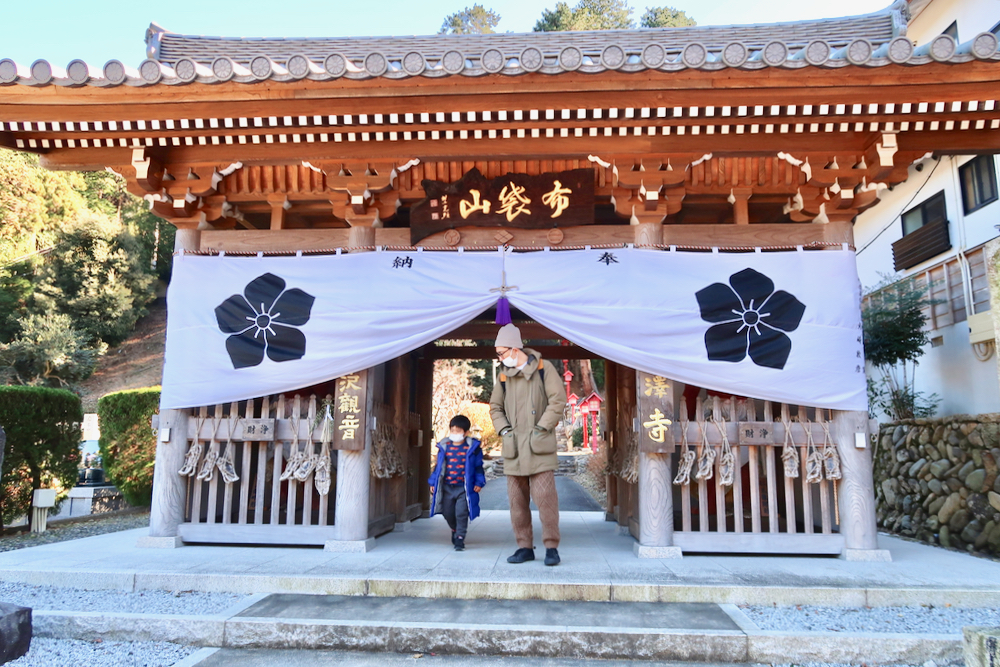 靜岡親子一日遊＿尋找富士山，日本平登山，搭小丸子彩繪列車，大吃靜岡美食