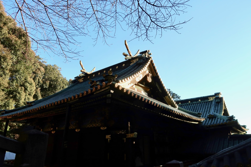 靜岡親子一日遊＿尋找富士山，日本平登山，搭小丸子彩繪列車，大吃靜岡美食