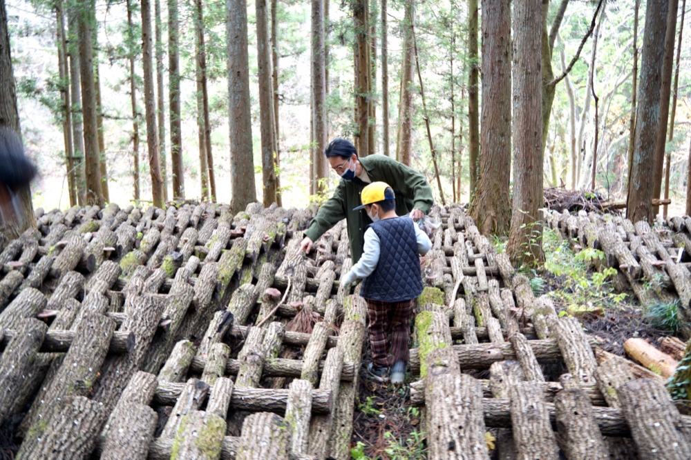 仙台熊谷農園採香菇