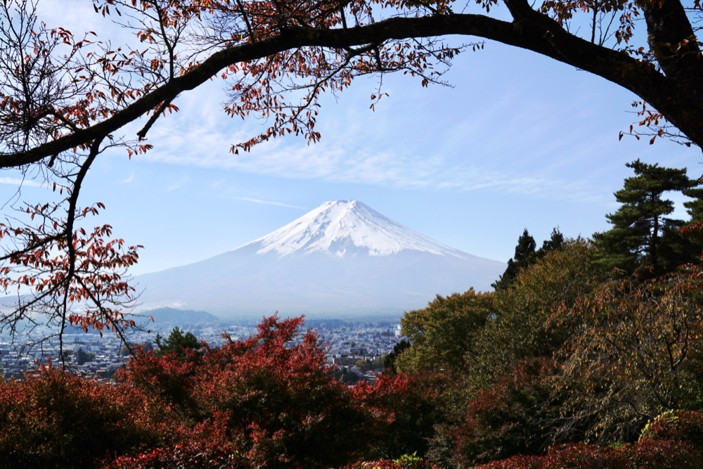 富士吉田市觀光