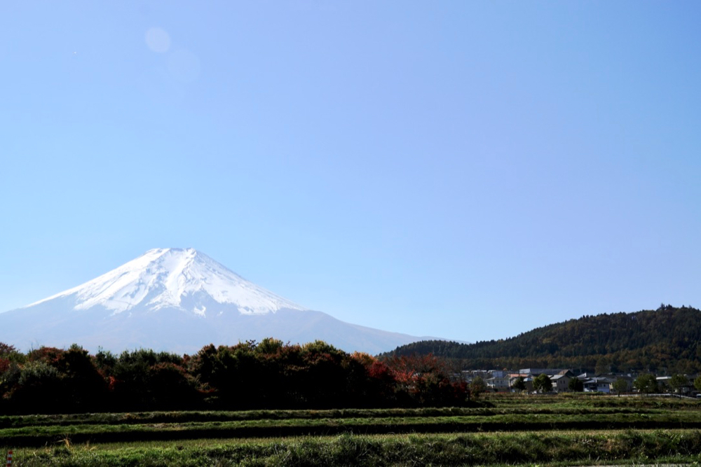 富士吉田市觀光