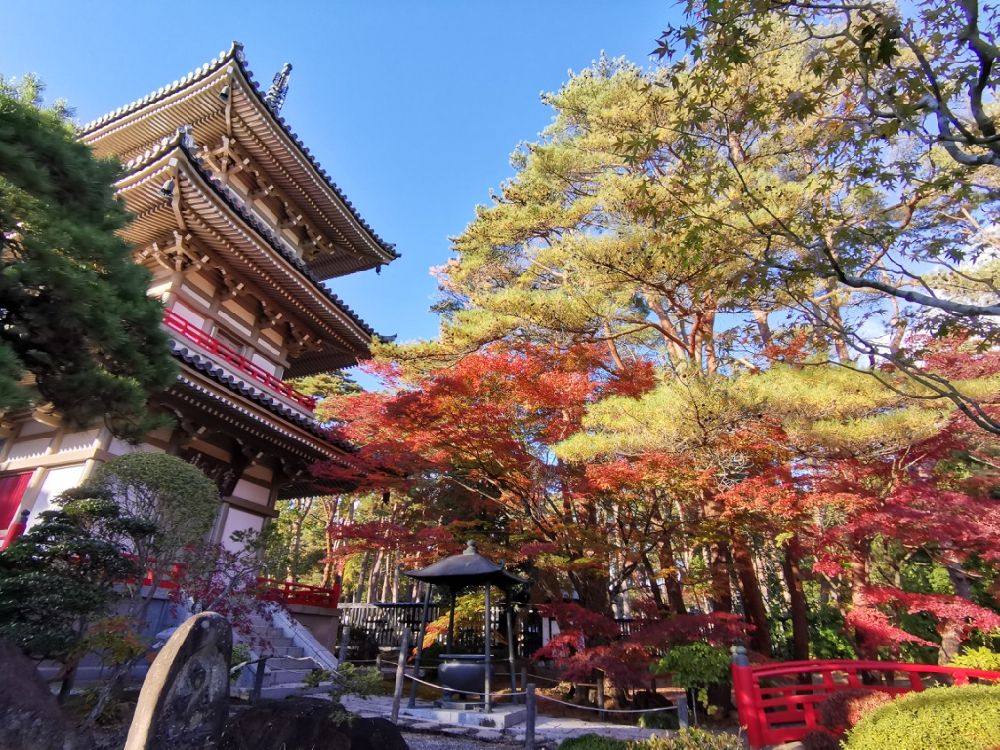 仙台賞楓景點