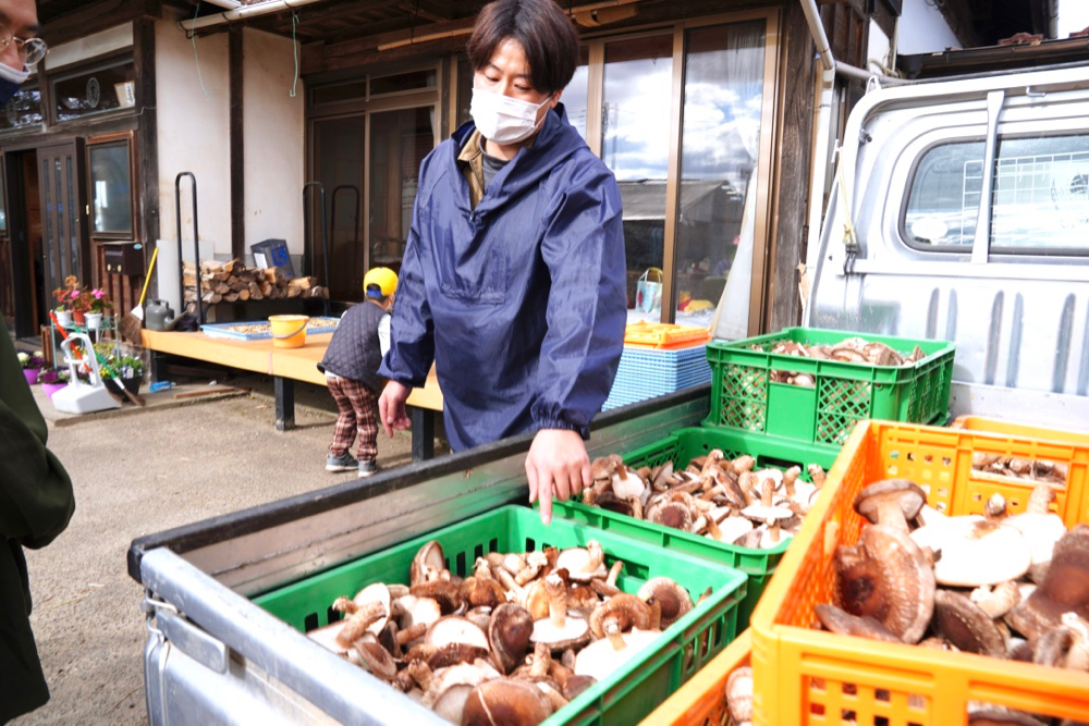 仙台熊谷農園採香菇
