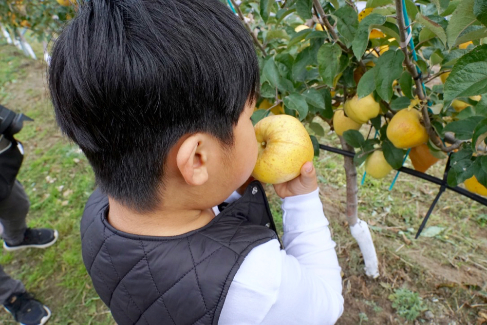 仙台JR水果公園