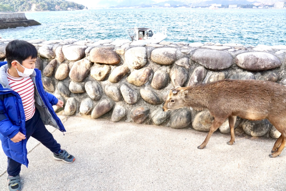 廣島「吳市 x 宮島」2天1夜親子「藍色海之旅」