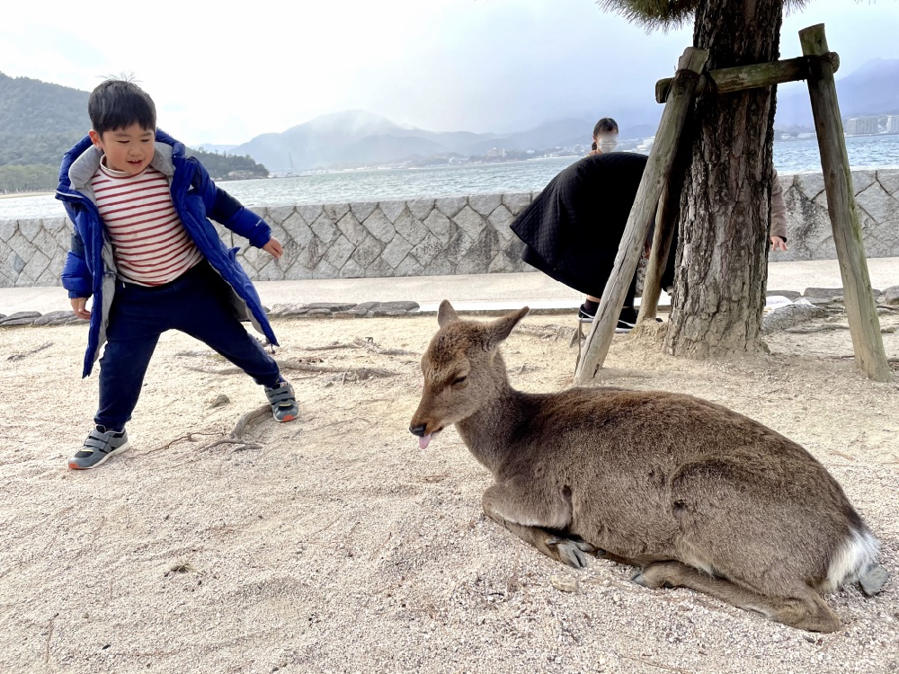 廣島「吳市 x 宮島」2天1夜親子「藍色海之旅」