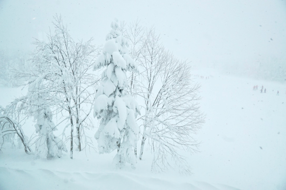 前進山形上山溫泉的夢幻雪世界，體驗親手做雪屋以及絕景樹冰散步