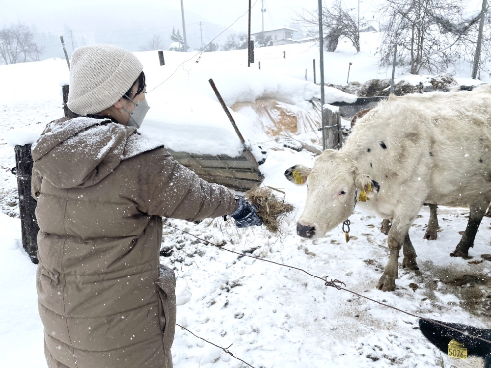 前進山形上山溫泉的夢幻雪世界，體驗親手做雪屋以及絕景樹冰散步