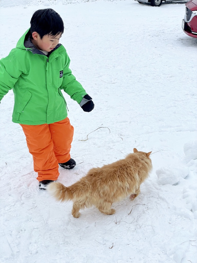 前進山形上山溫泉的夢幻雪世界，體驗親手做雪屋以及絕景樹冰散步