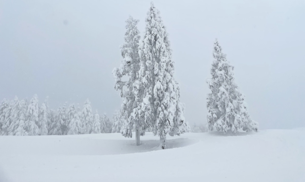 前進山形上山溫泉的夢幻雪世界，體驗親手做雪屋以及絕景樹冰散步