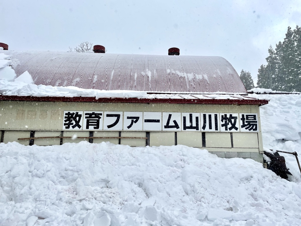 前進山形上山溫泉的夢幻雪世界，體驗親手做雪屋以及絕景樹冰散步