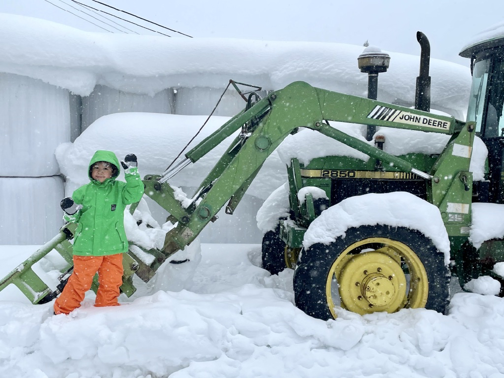 前進山形上山溫泉的夢幻雪世界，體驗親手做雪屋以及絕景樹冰散步