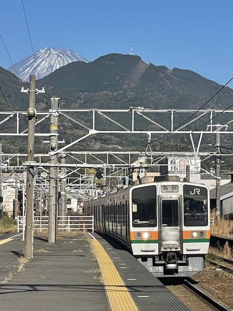 靜岡清水港太好玩了啦！騎腳踏車賞富士山、學捏壽司、大吃櫻花蝦、搭船拜訪三保松原絕景