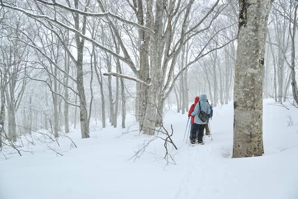 日本親子玩雪，長野野澤溫泉，志賀高原，雪猿泡溫泉