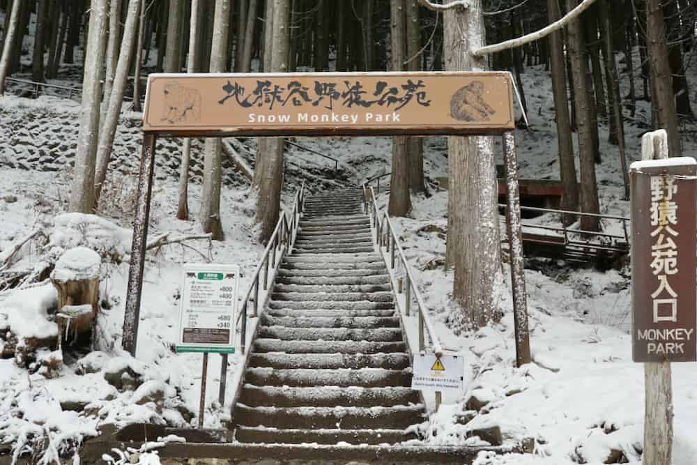 日本親子玩雪，長野野澤溫泉，志賀高原，雪猿泡溫泉