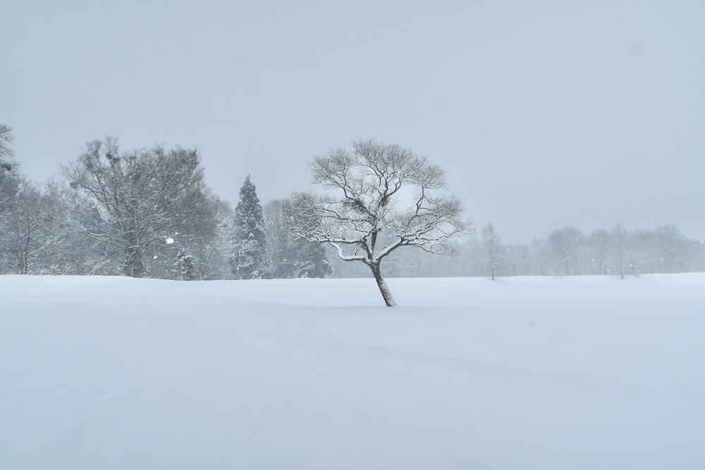 日本親子玩雪，長野野澤溫泉，志賀高原，雪猿泡溫泉