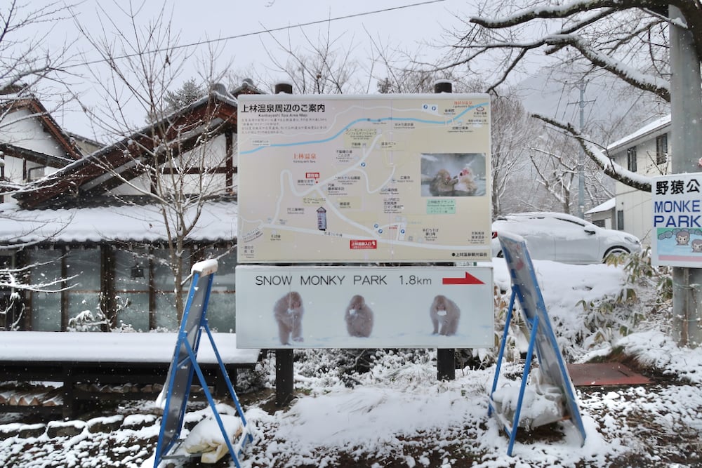 日本親子玩雪，長野野澤溫泉，志賀高原，雪猿泡溫泉