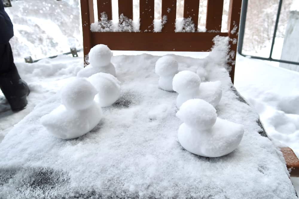 日本親子玩雪，長野野澤溫泉，志賀高原，雪猿泡溫泉