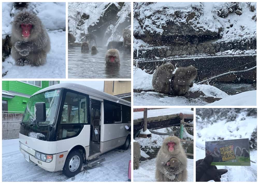 日本親子玩雪，長野野澤溫泉，志賀高原，雪猿泡溫泉